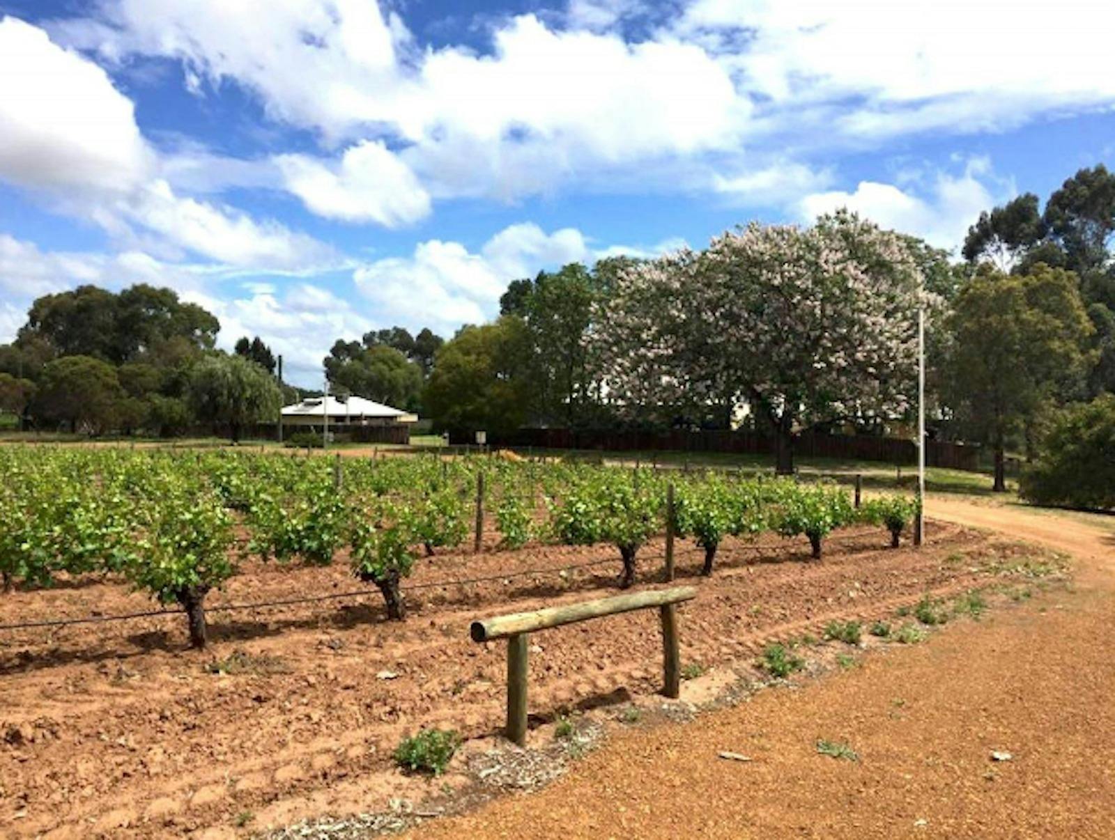 Mann Winery