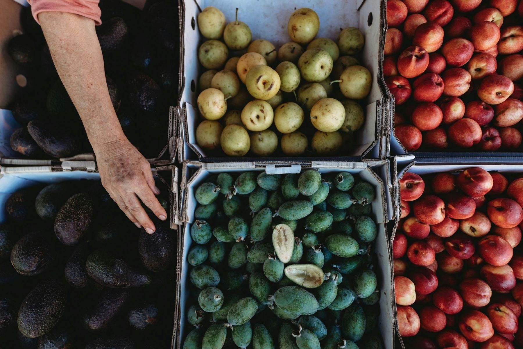 Echuca Farmers Market