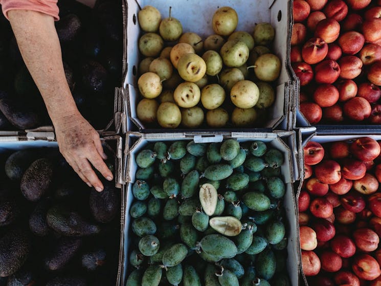 Echuca Farmers Market