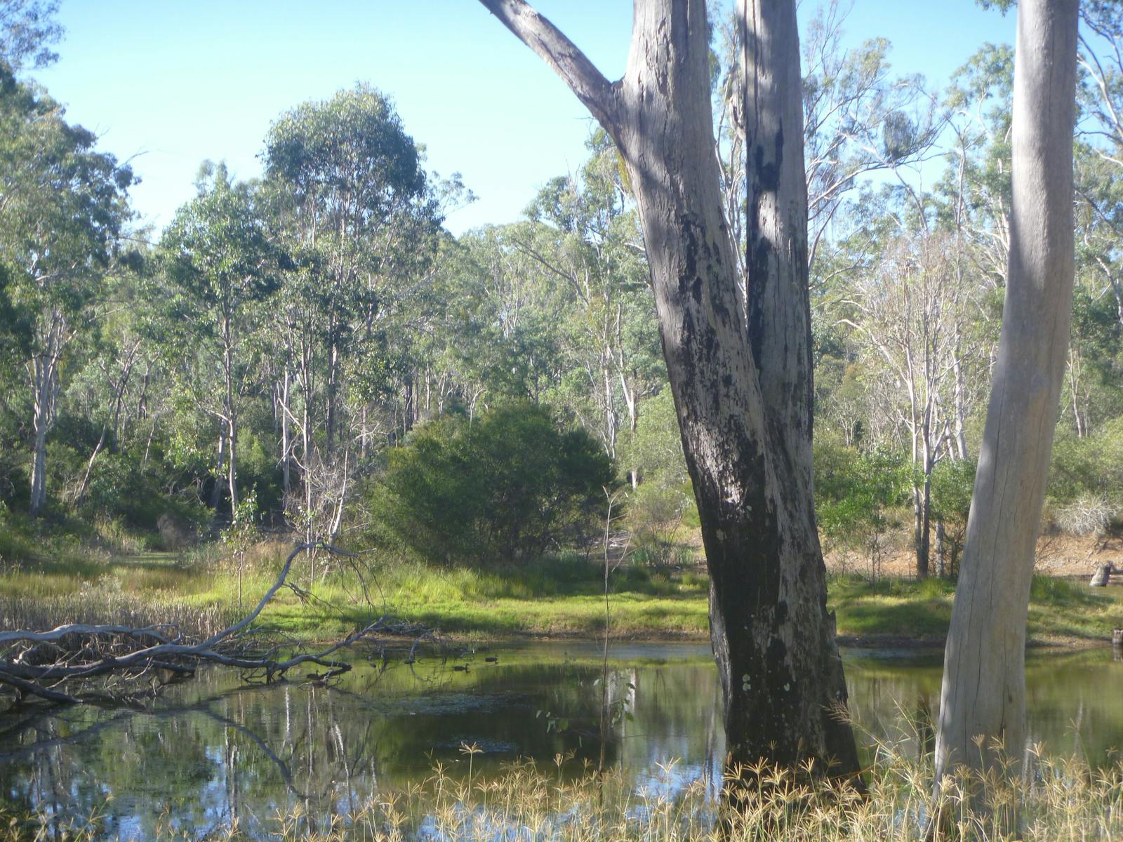 Nanango Fauna Reserve