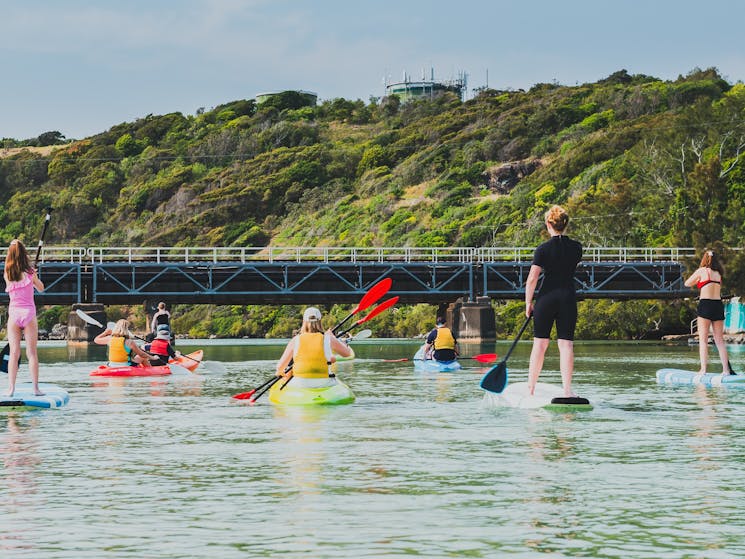 Group Kayaking and Stand Up Paddle Boarding C-Change Adventures Coffs Harbour