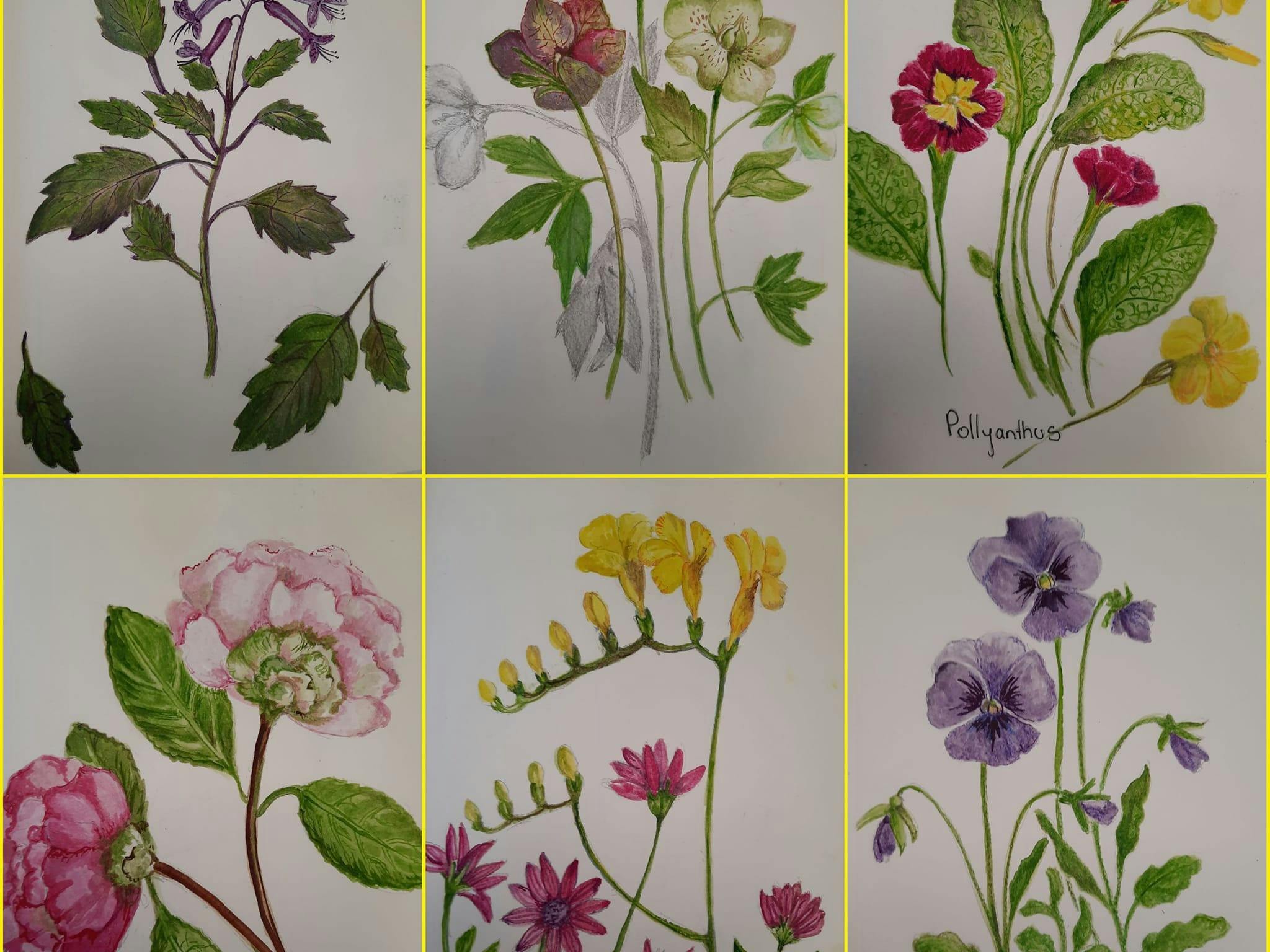 Botanical Art