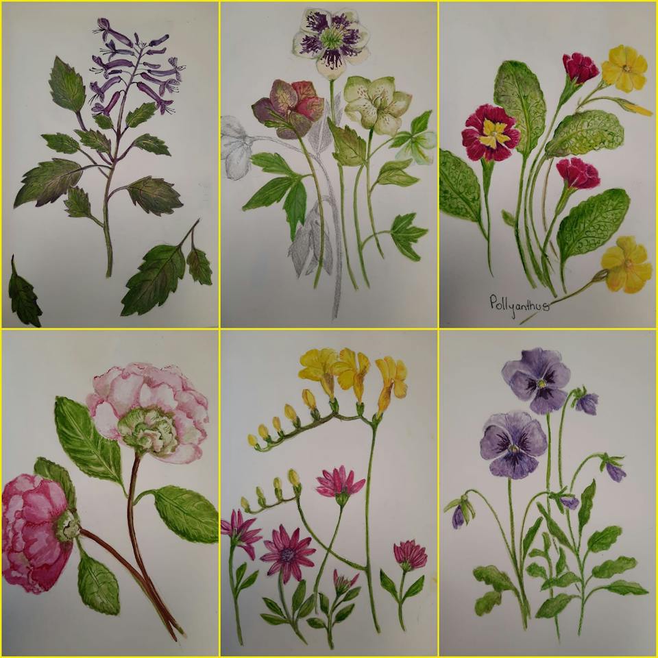 Leven Regional Arts @ Studio 2, Hive photo