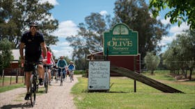 Tour de Vines