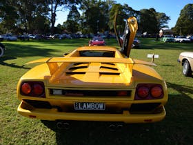 Yellow wonder