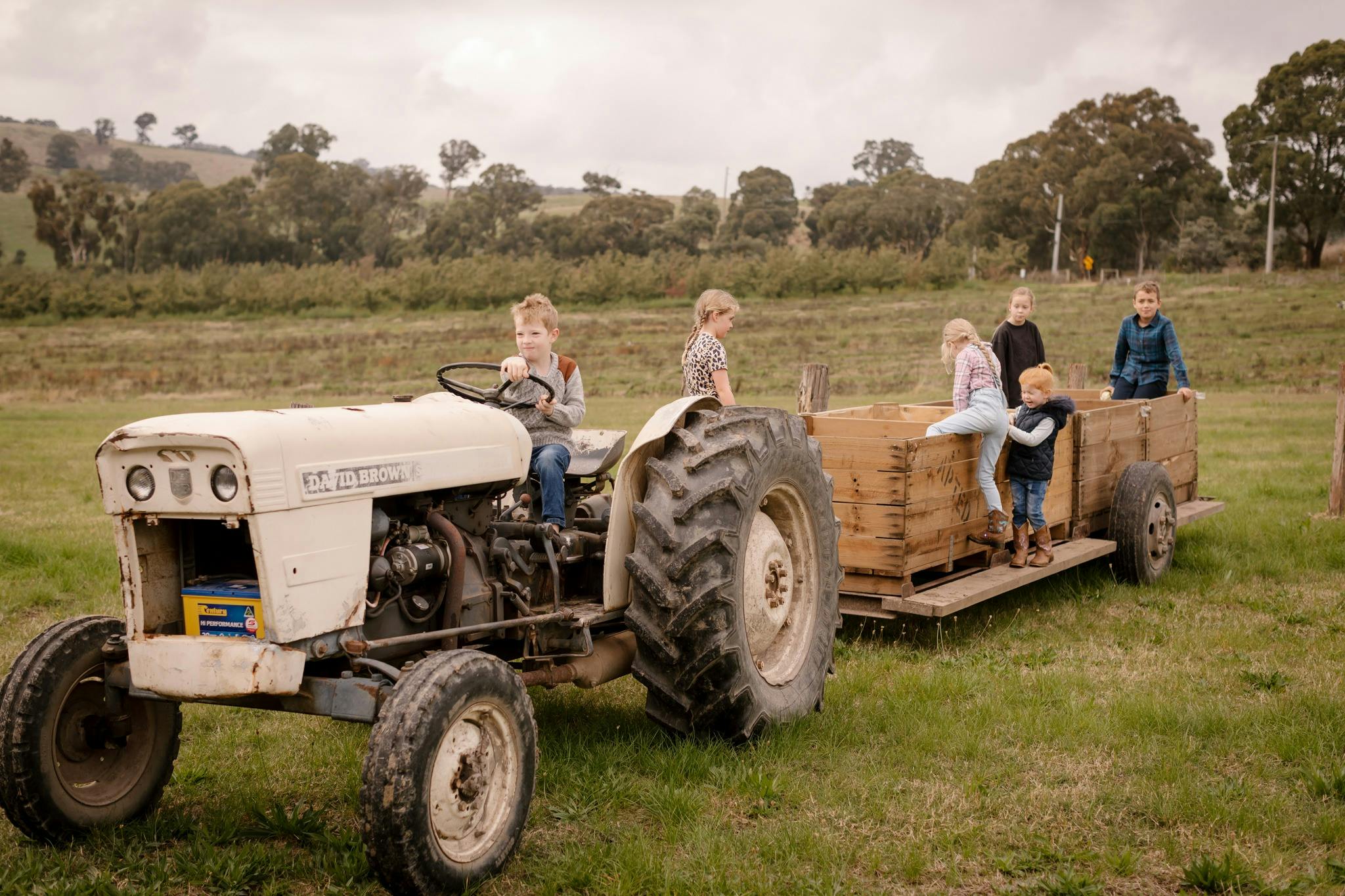 Visitors enjoying our vintage tractor and beautiful scenery at the orchard.