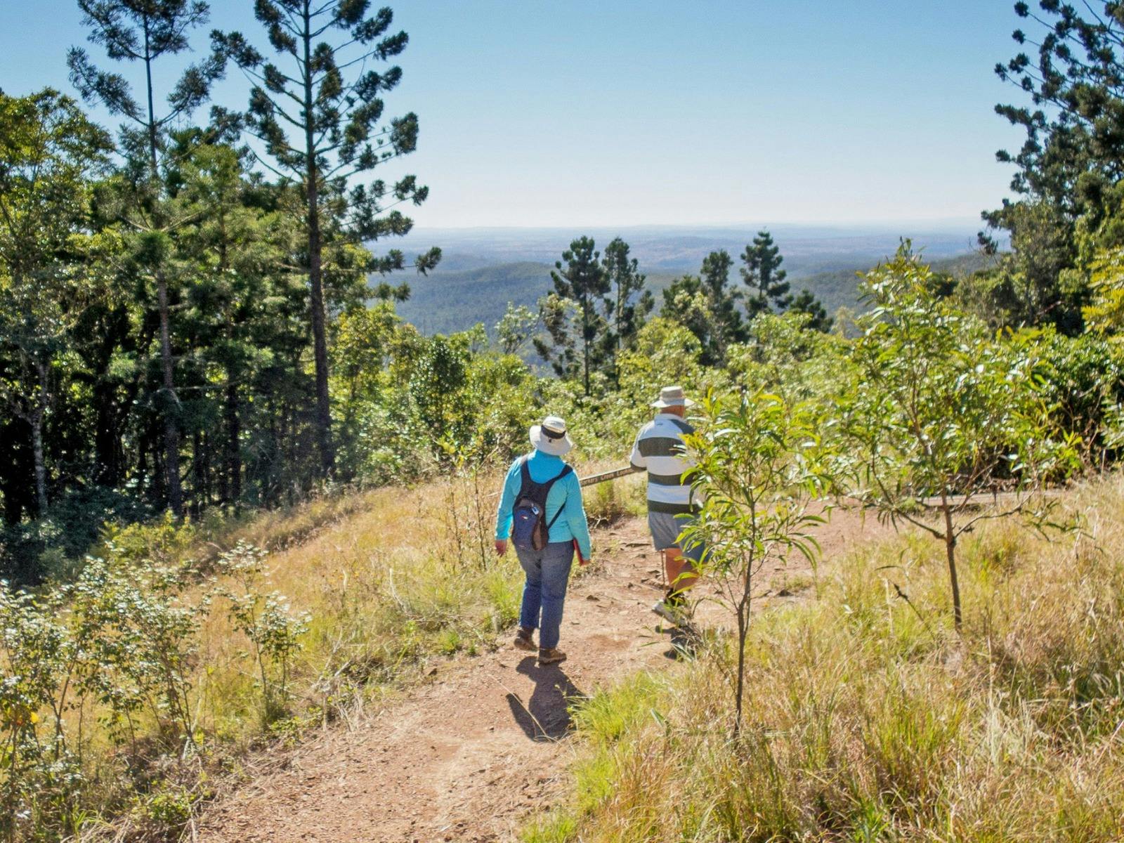 NDIS Accessible Adventure Program - Gold Coast Hinterland