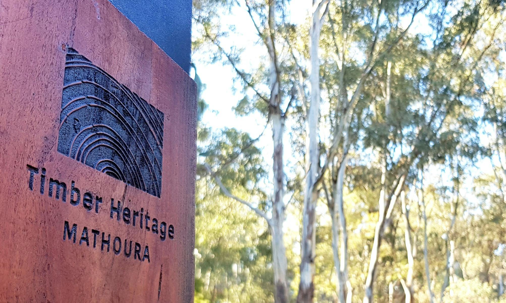 マゾウラ遺産ウォークサイネージ、背景の森