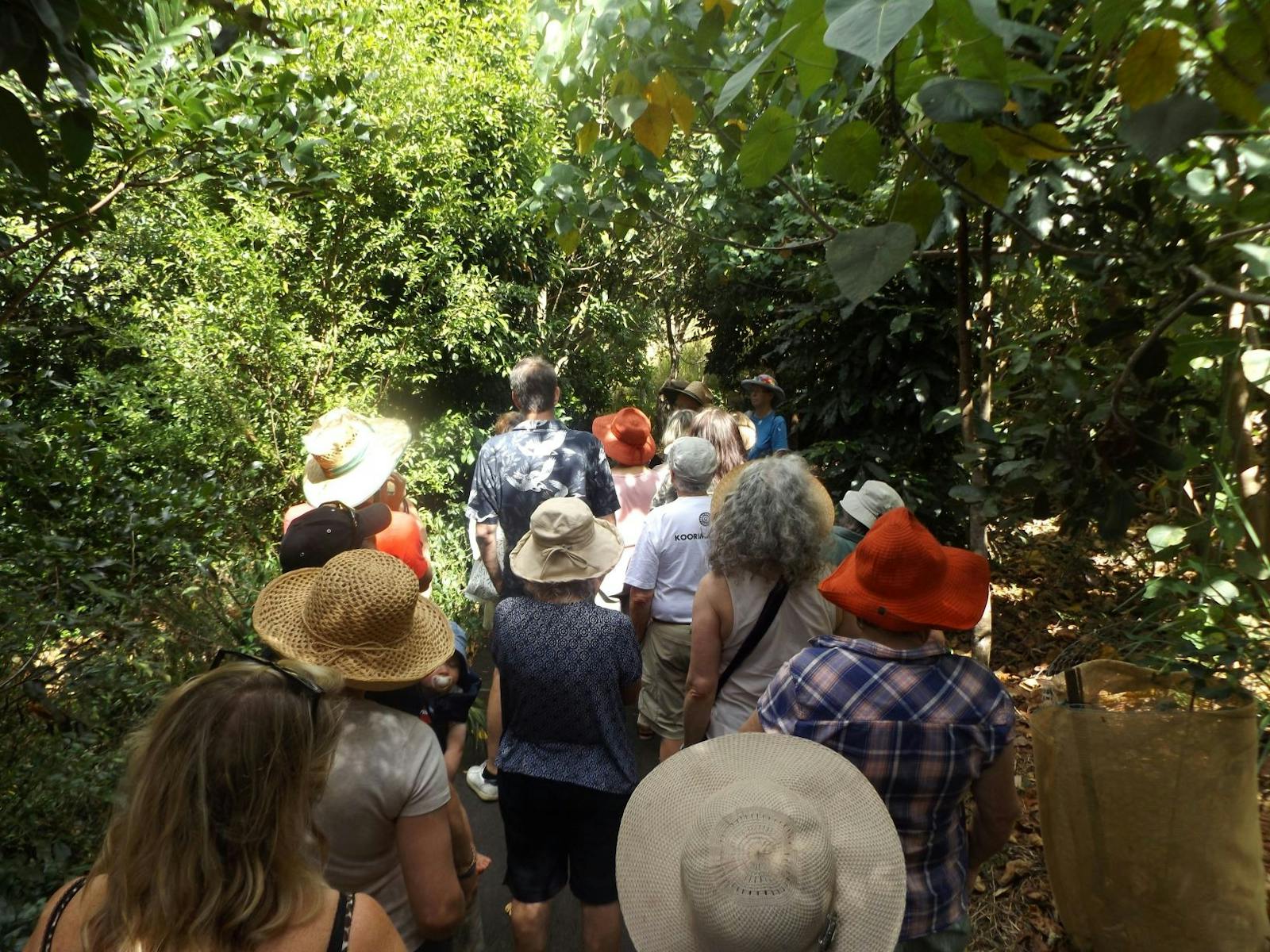 Guided Walk