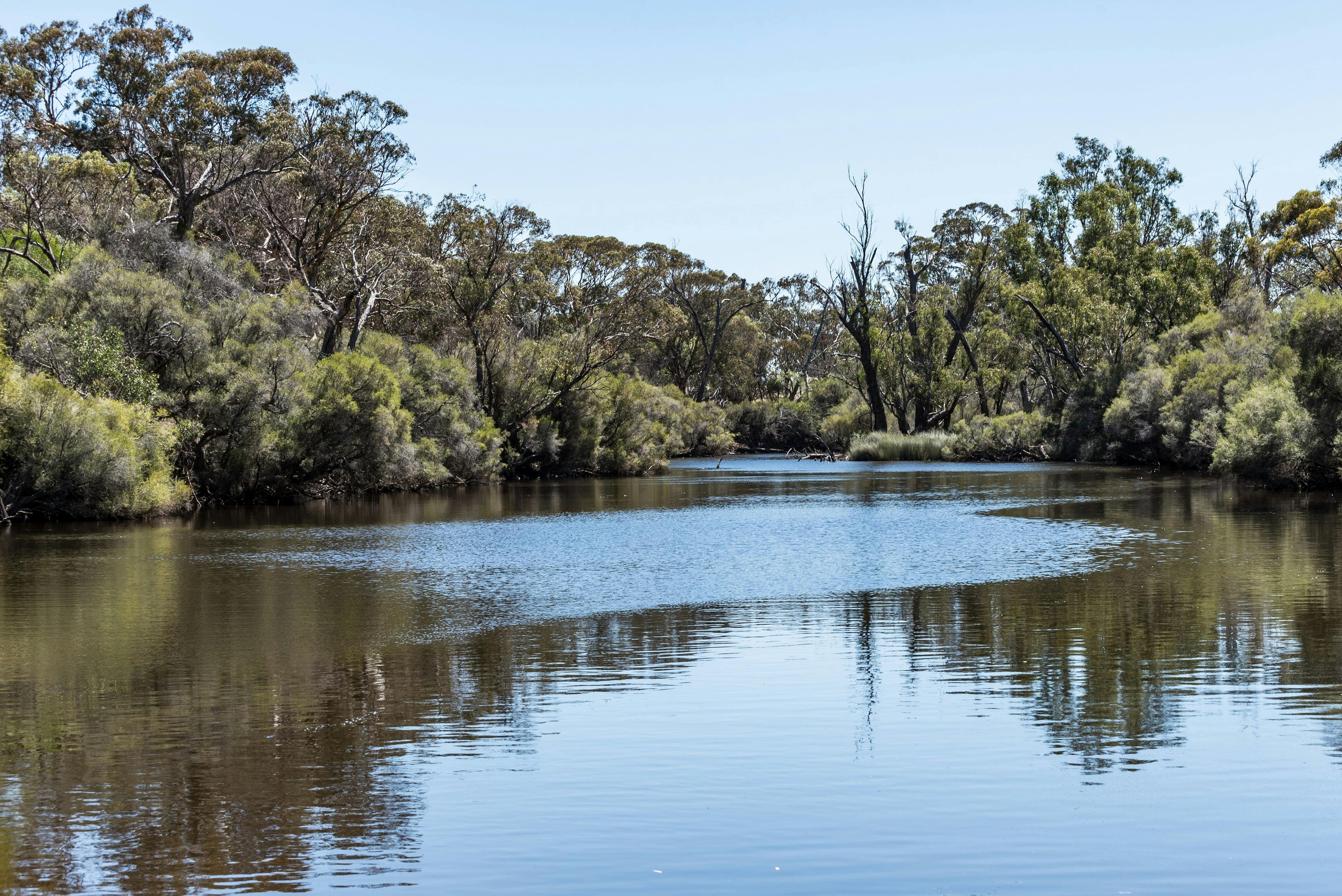 Dale River Reserve Trail