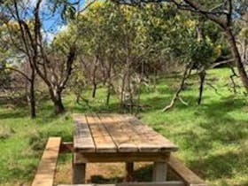 Wooden picnic table sitting on green grass with trees surrounding it.