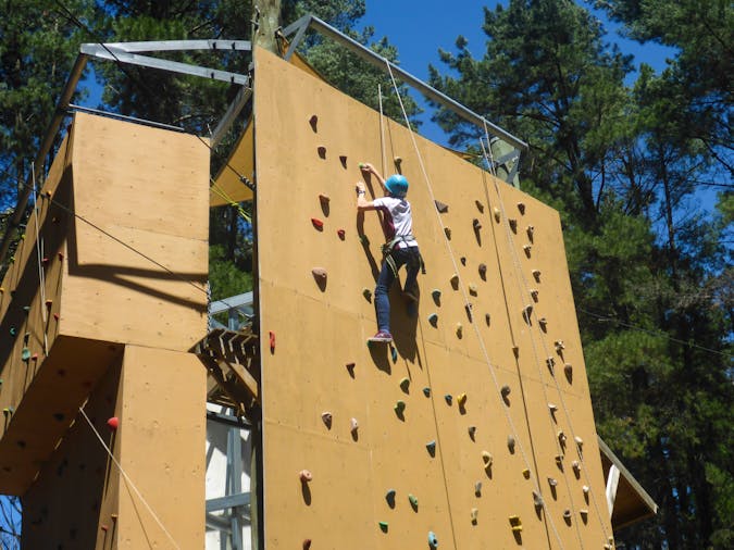 School Holidays Go Wild at SAH