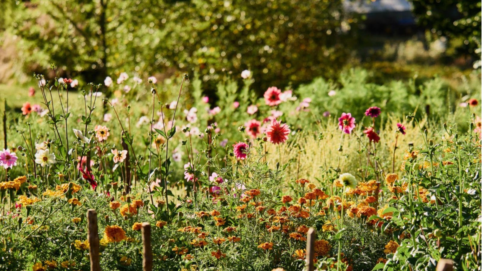 Earthenry Flower farm