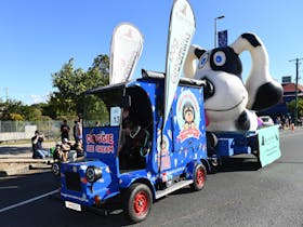 Parade float for a dog washing business participating in the Beenleigh Cane Parade.