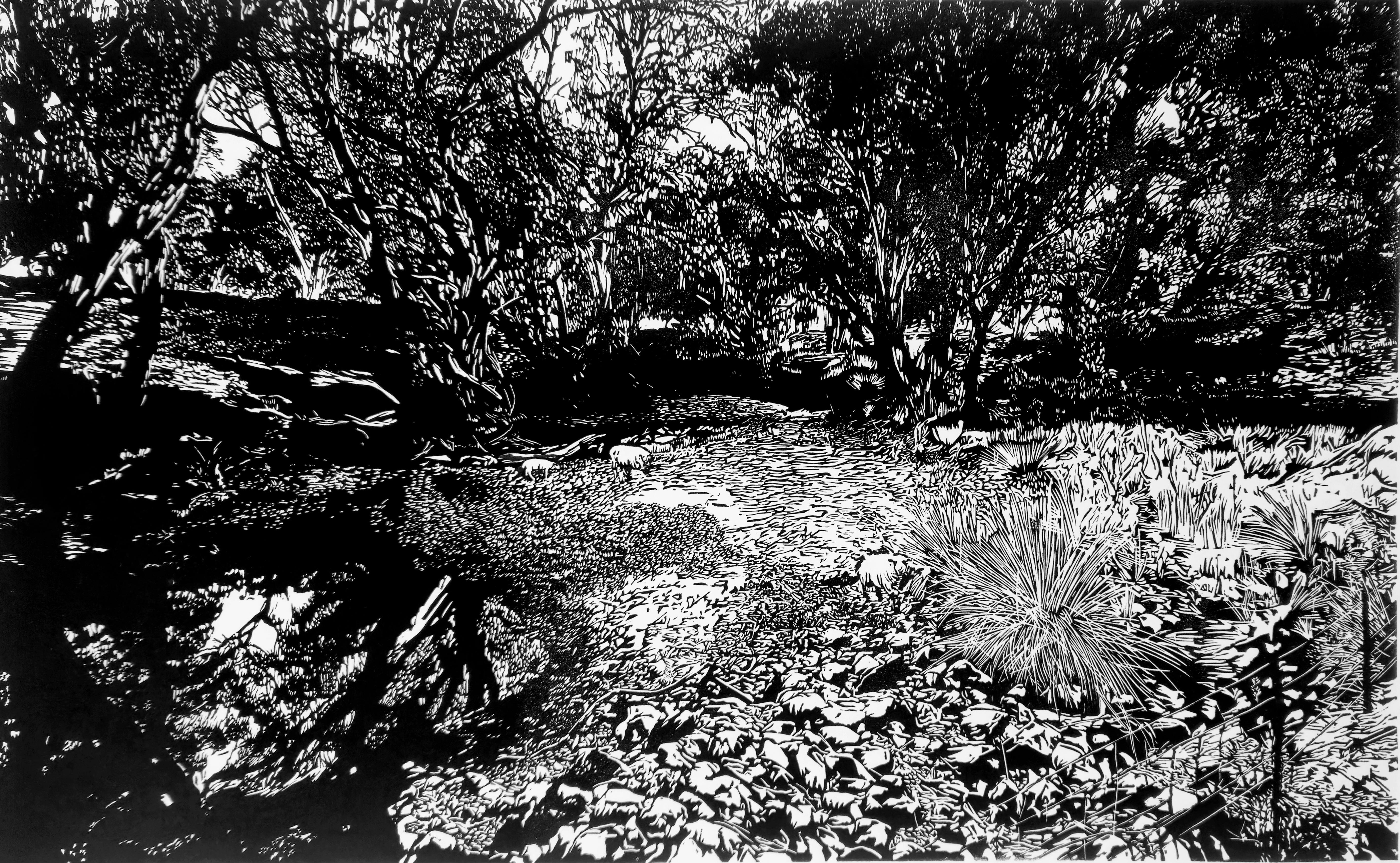 Landscape view of   dam with trees surrounding in black and white