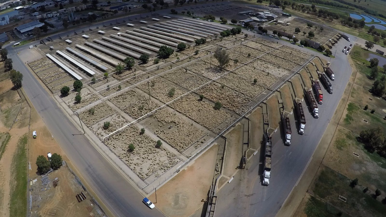 Wagga Wagga Livestock Marketing Centre