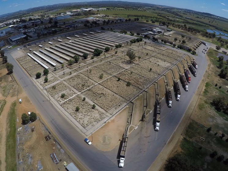 Wagga Wagga Livestock Marketing Centre