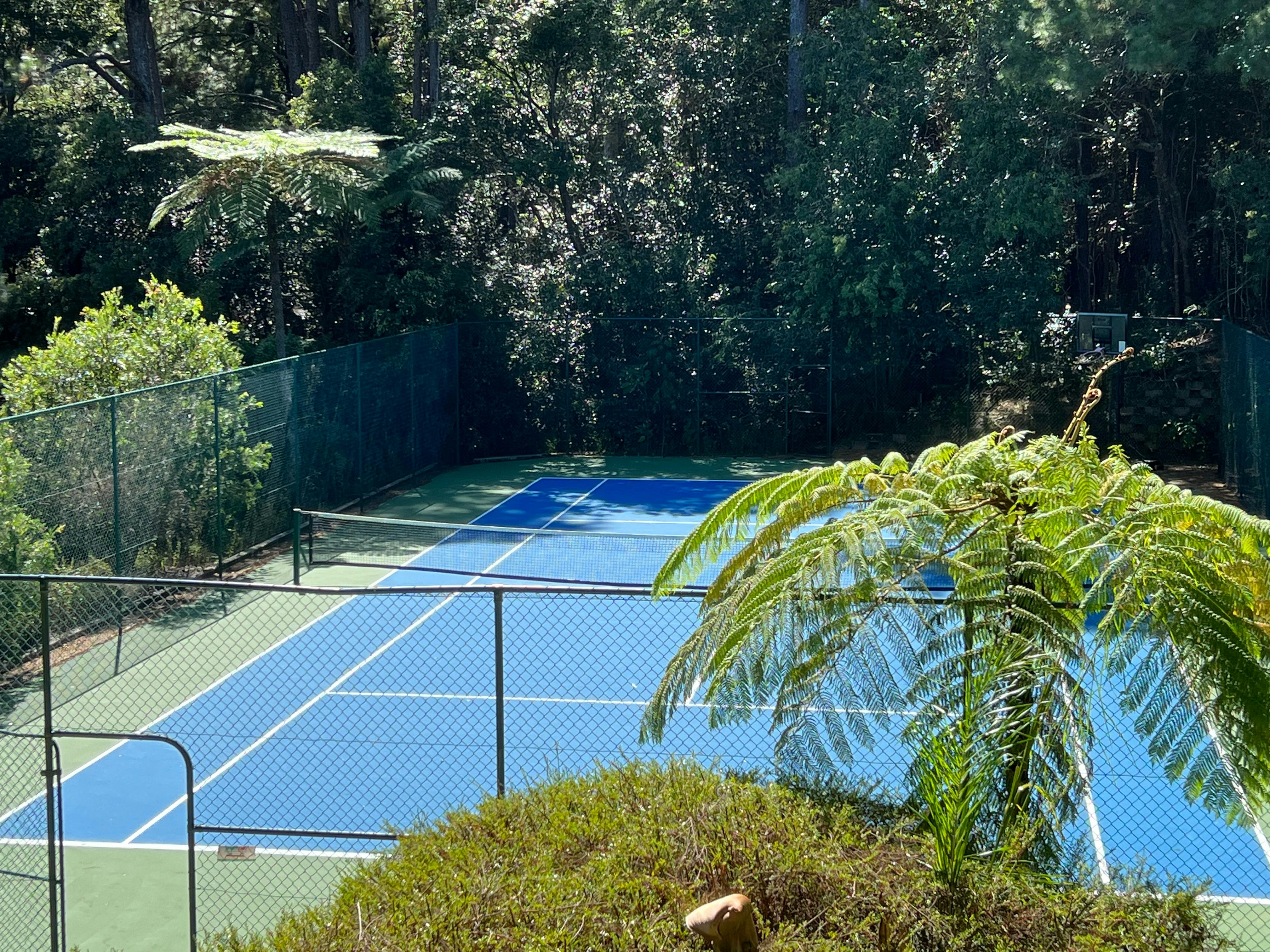 Overhead view of the tennis court.