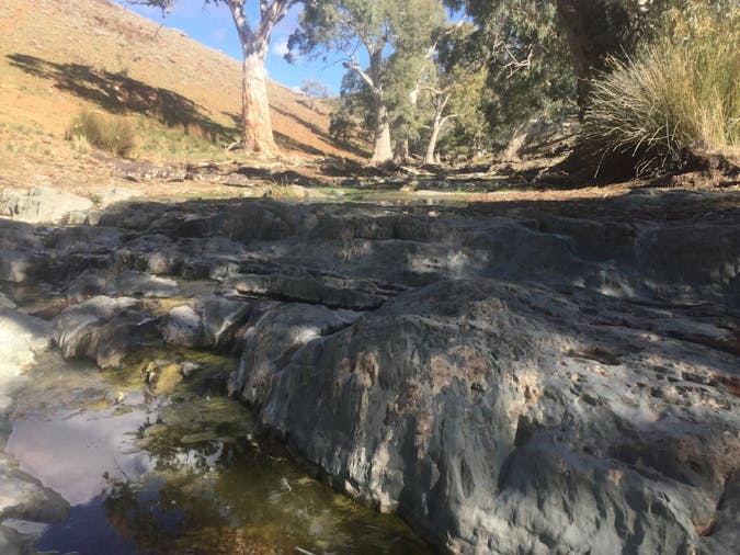 Three Creeks Station Arkaroona Creek Walk
