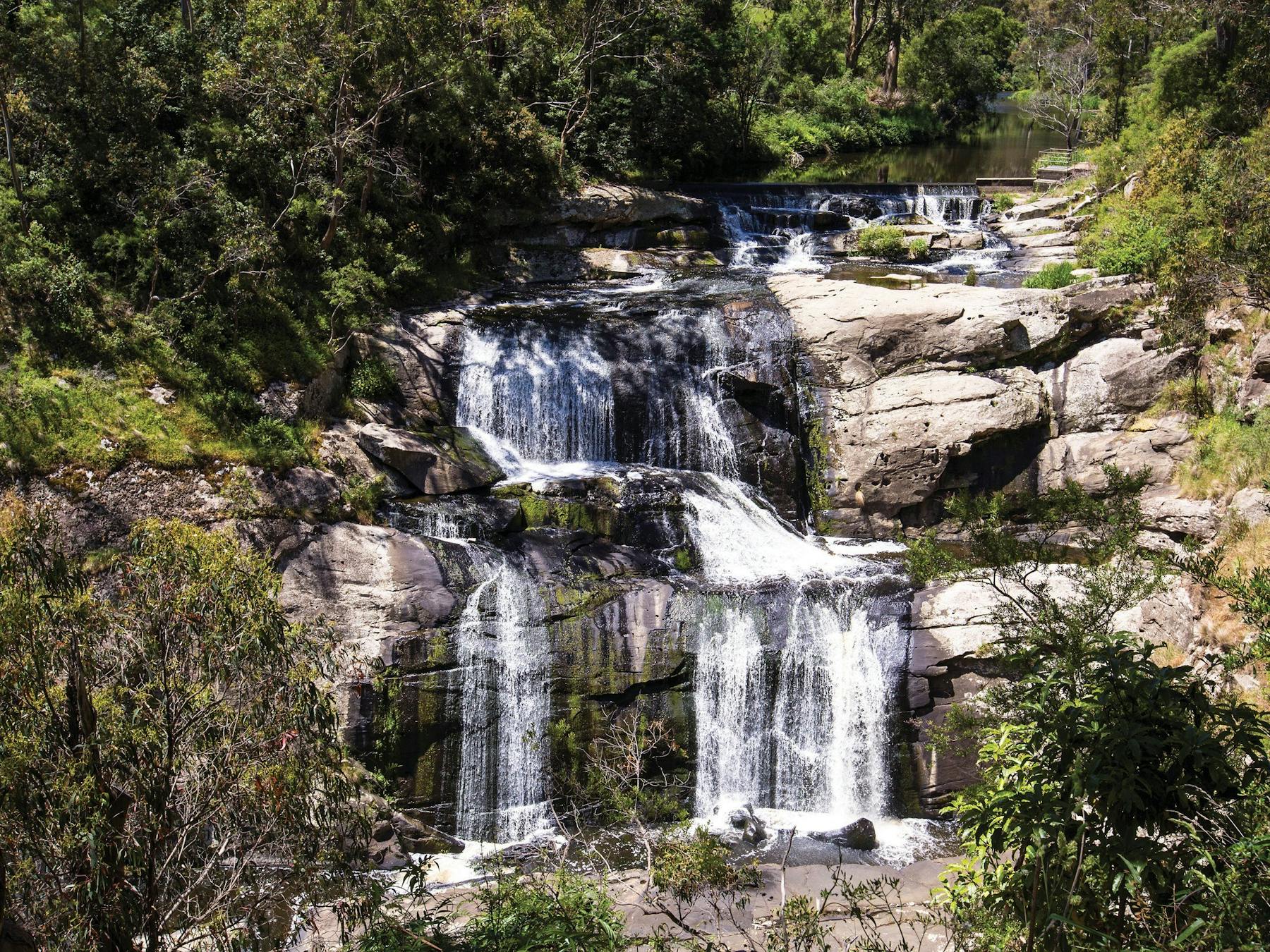 Agnes Falls, Josie Withers, Gippsland 2017