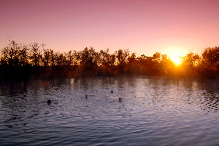 Dalhousie Springs, Witjira National Park