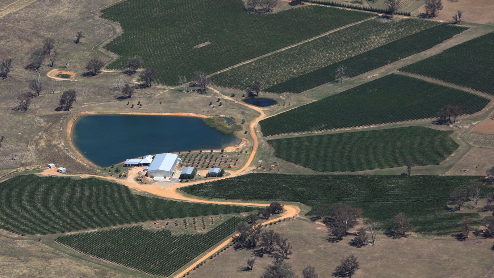 Long Rail Gully Wines
