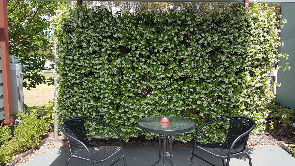 Outdoor seating