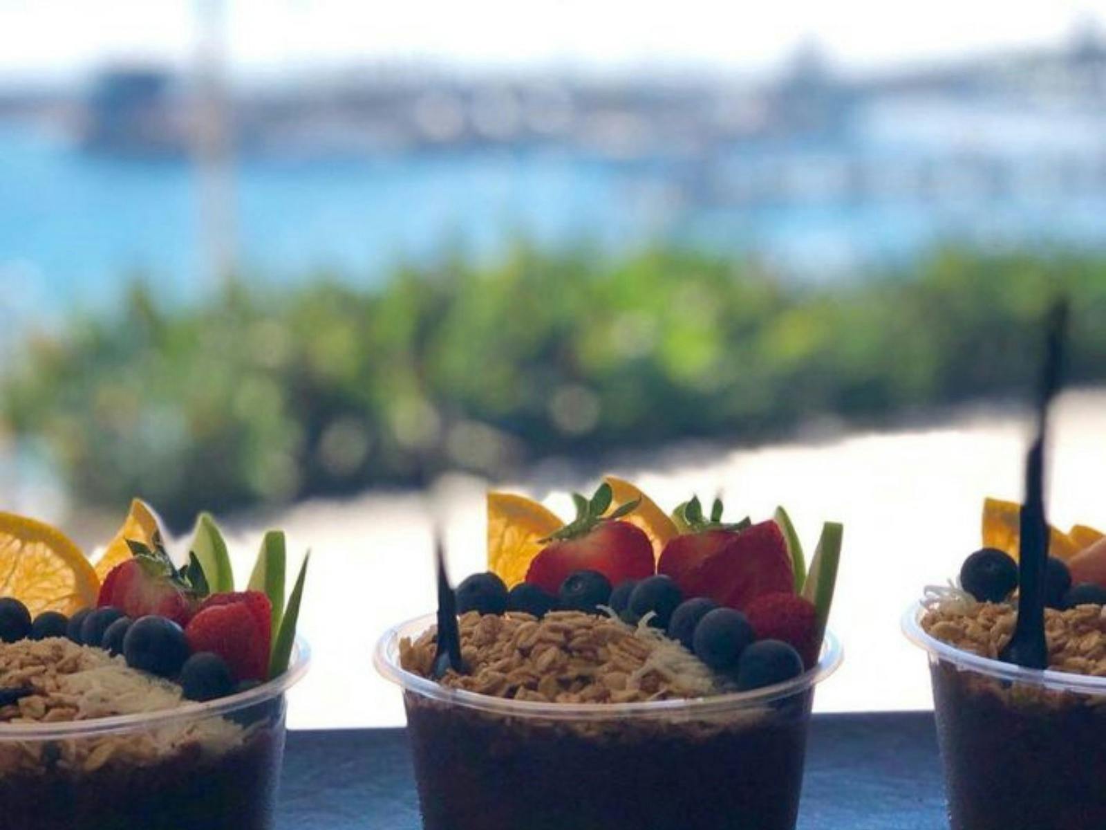 萊文迪臥龍崗港