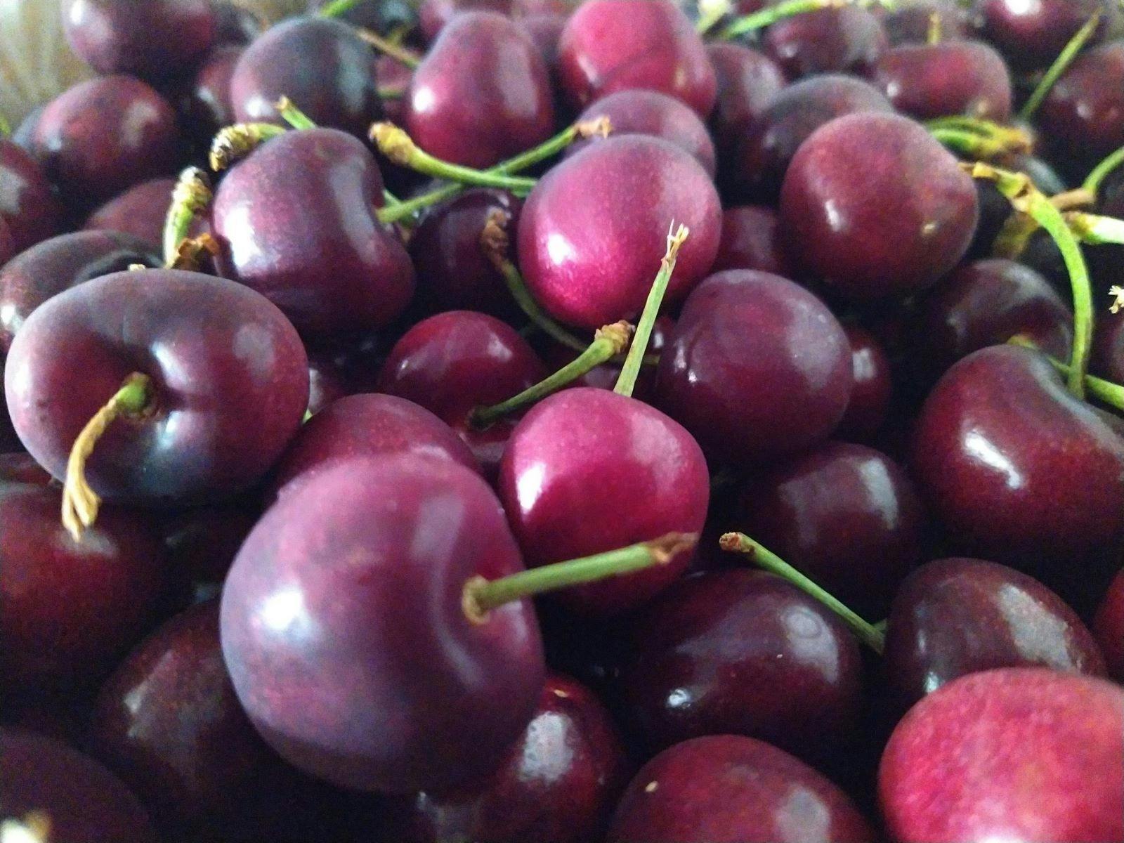 Eastlake’s Family Tree – Fairfield’s Orchard