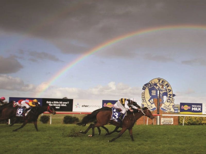 Image for Sunday Racing