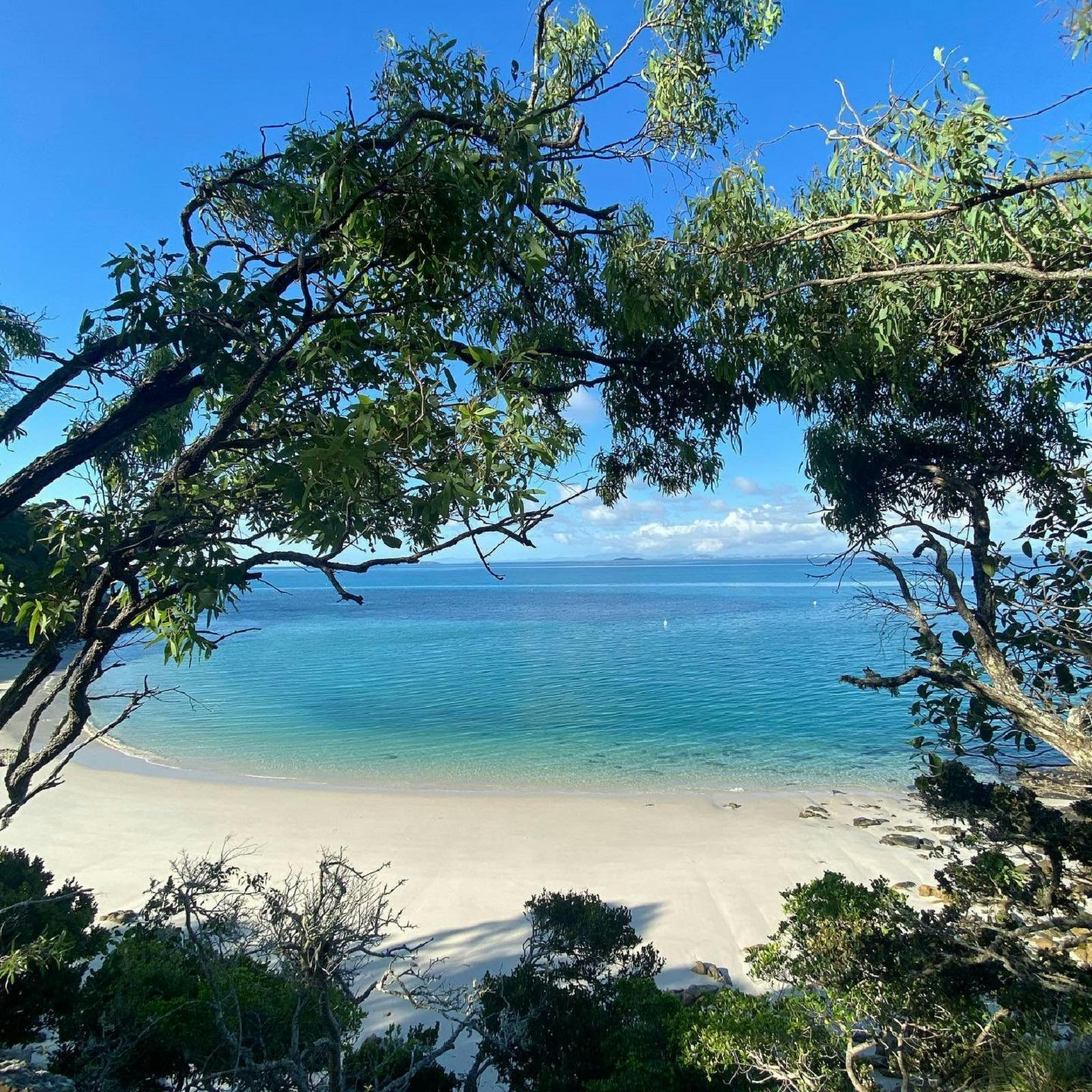 Discover the Picturesque Shelving Beach