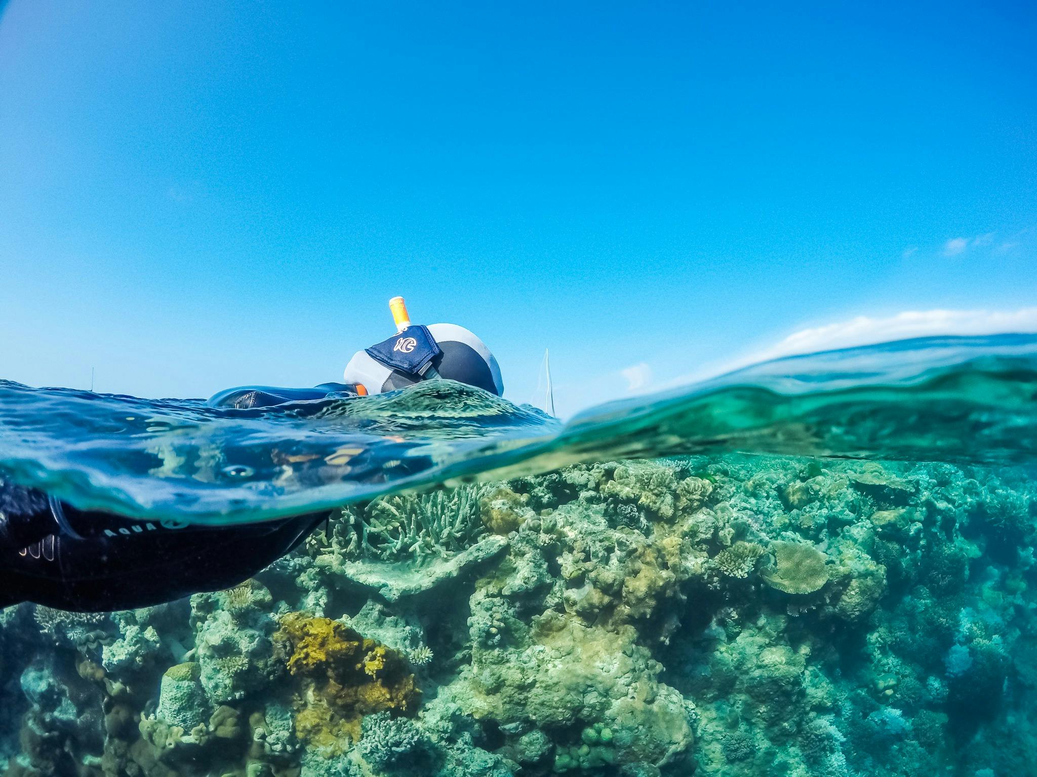 Whitsundays Sailing Adventures