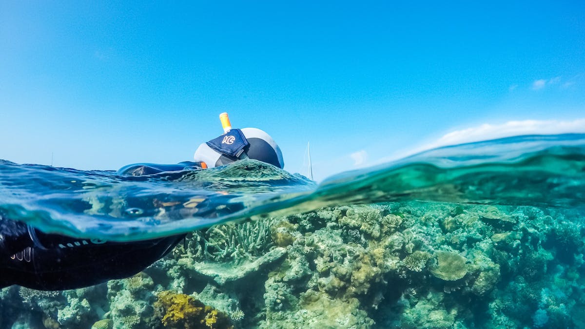 Great Barrier Reef - Snorkel