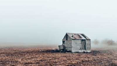 Fine Art Print by Jerusha McDowell