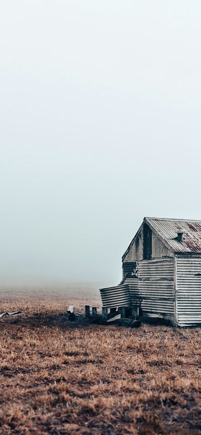 Fine Art Print by Jerusha McDowell