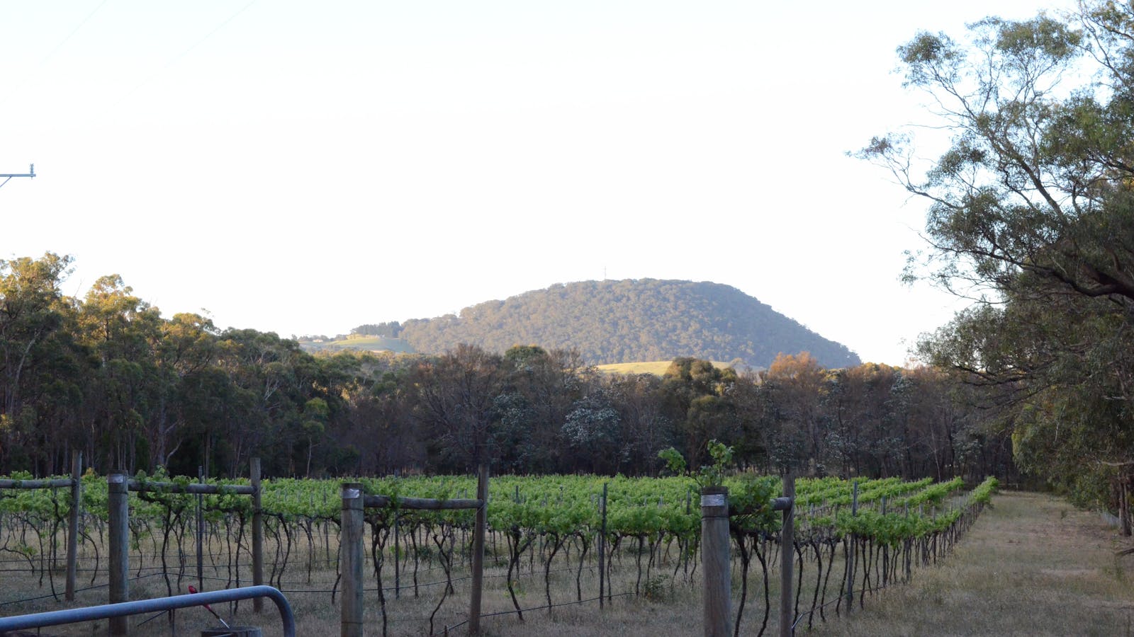 Mount Buninyong Winery
