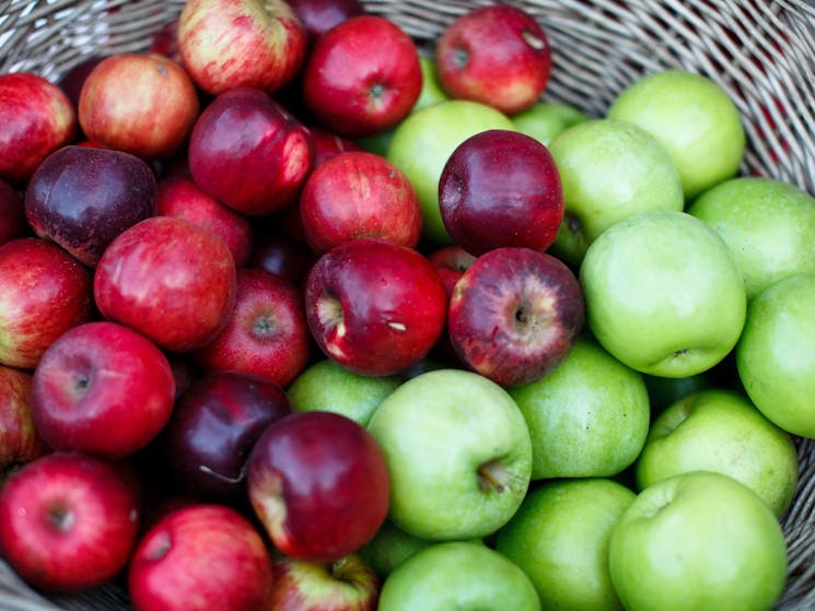 Apples from Bilpin, Bells Line of Road, Hawkesbury Valley