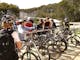 Mountain biking for schools and groups