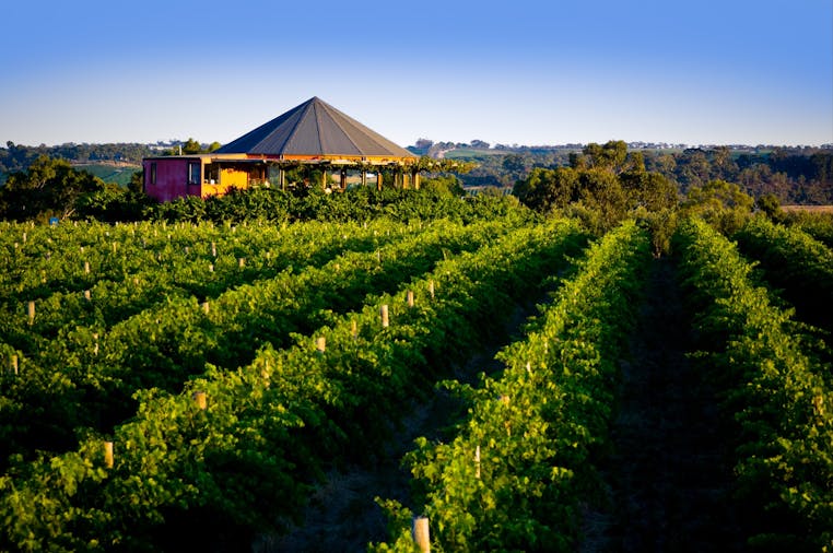 Hugh Hamilton Wines - McLaren Vale, Food and Drink | South Australia