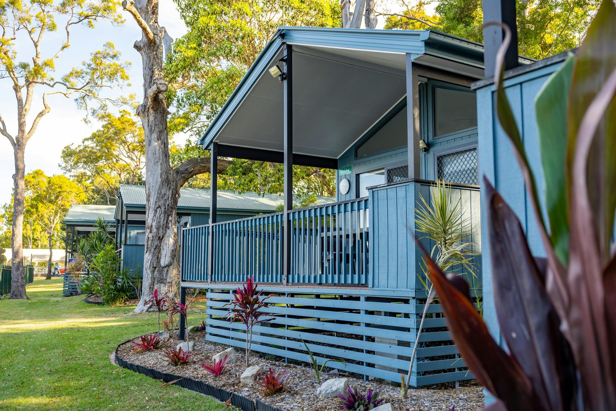 Cabins at Jacob's Well Tourist Park