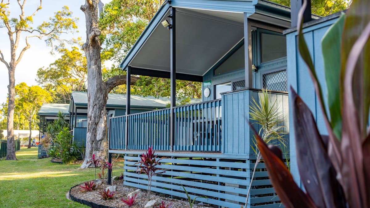 Cabins at Jacob's Well Tourist Park