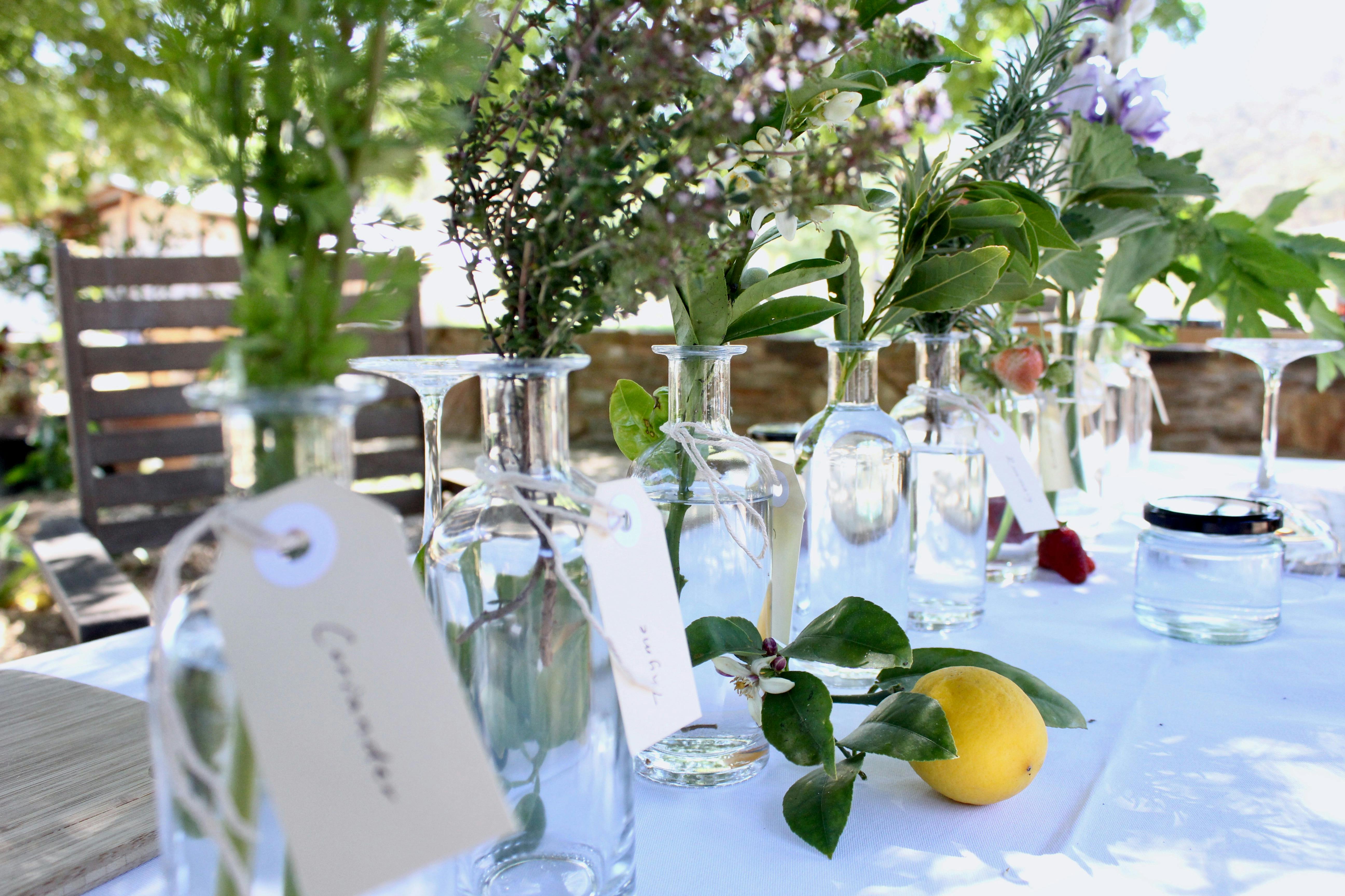 Botanical Watercolour - Paint and Sip at Mrs Baker's Still House