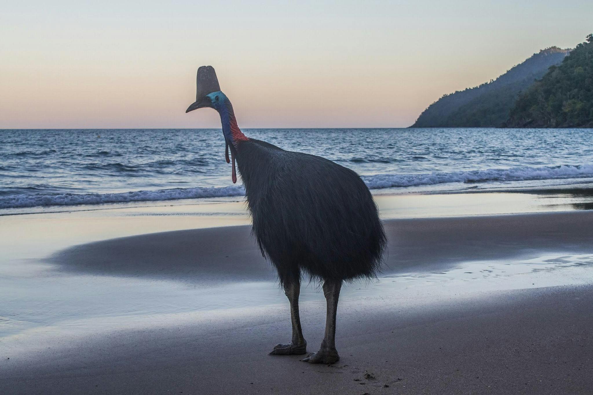 Etty Bay Cabins and Caravan Park