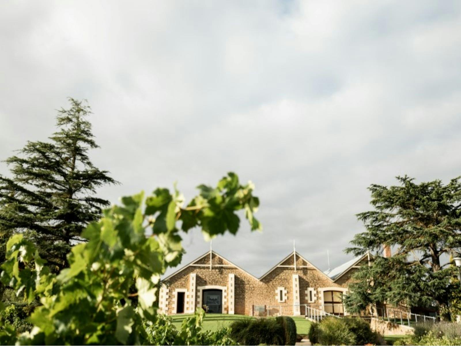 2026 Penola Coonawarra Arts Festival celebrates withLEGORIUM at Wynns Coonawarra Estate