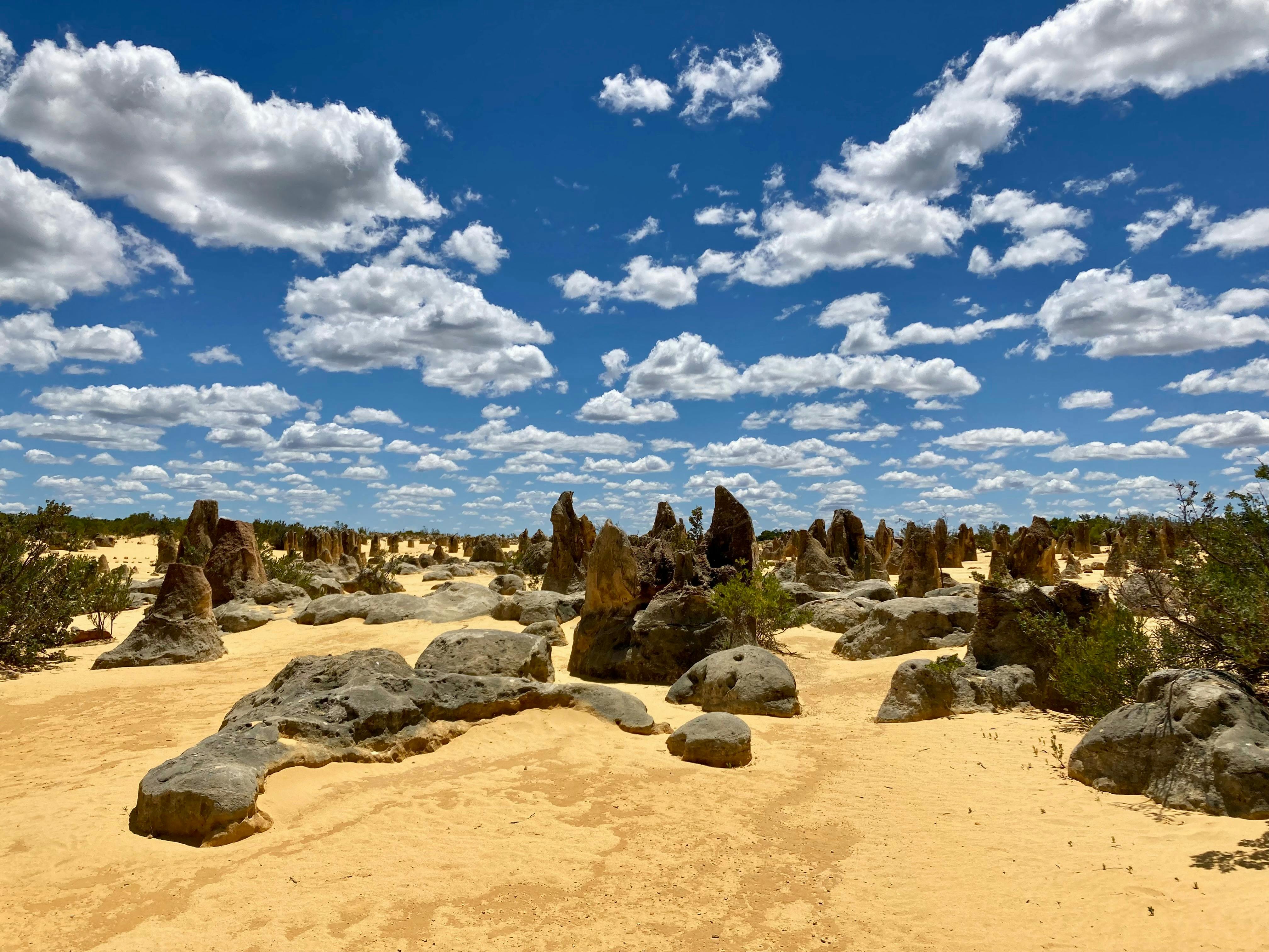 The Pinnacles Desert