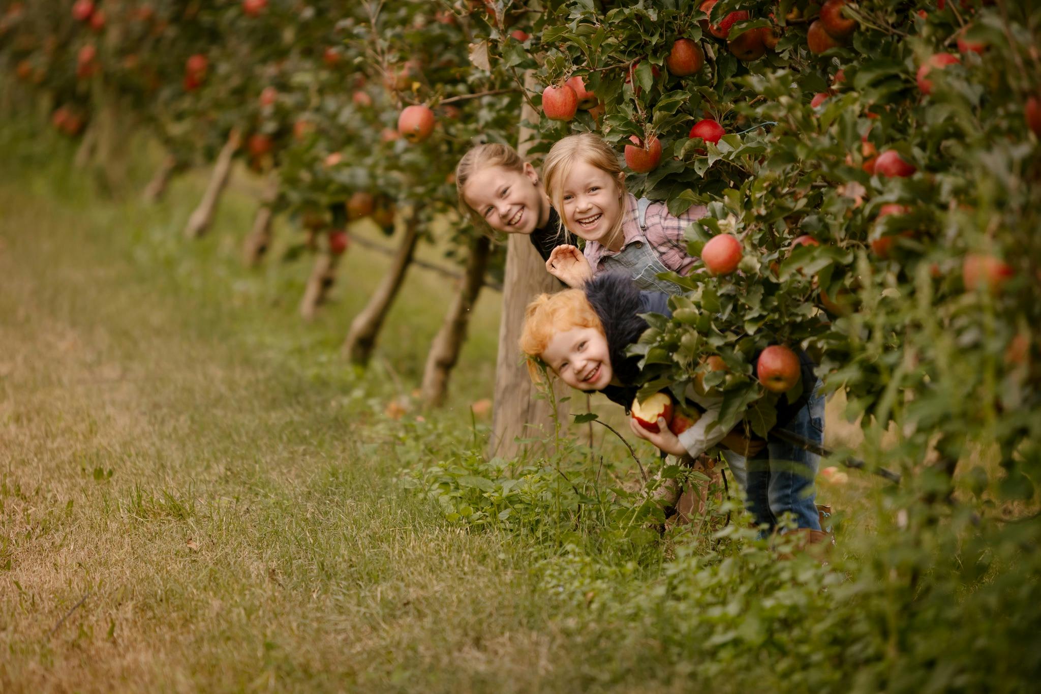 Enjoy a memorable family day out in a unique orchard setting.