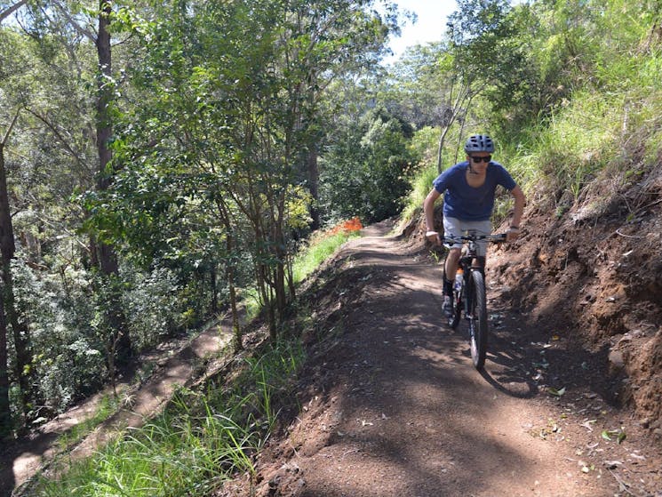 Hornsby Mountain Bike Trail