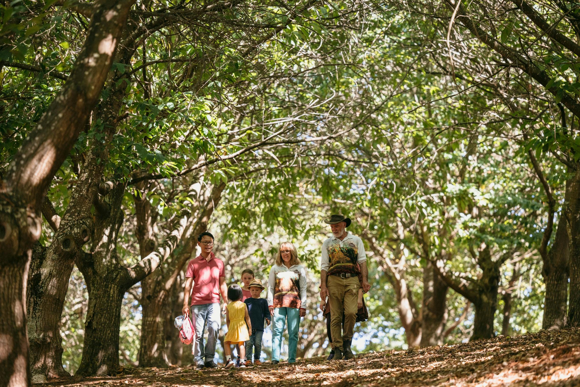Farm Tour with Chestnut Brae