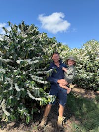 Coffee farm flowering