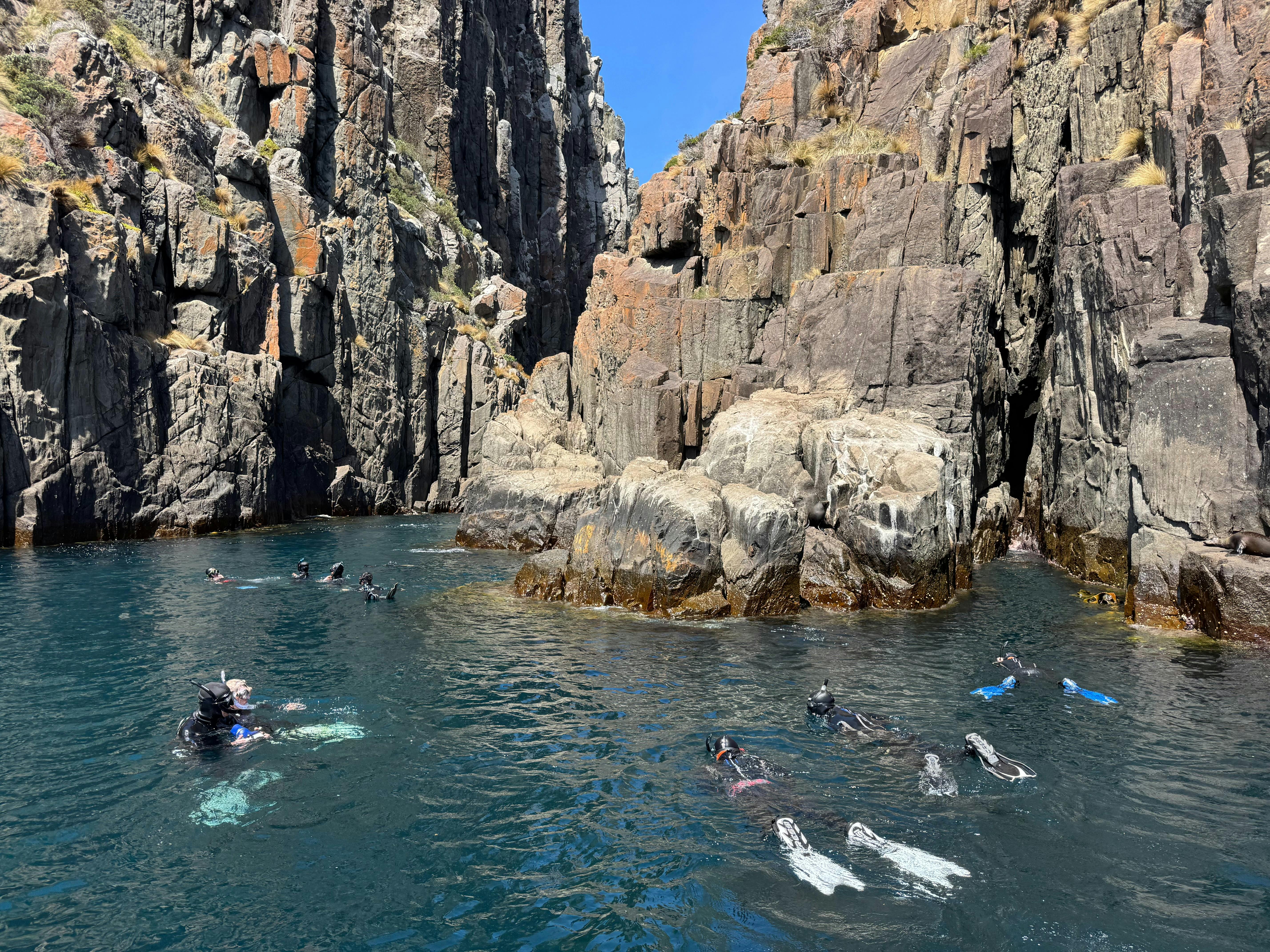 Snorkelling with the seals